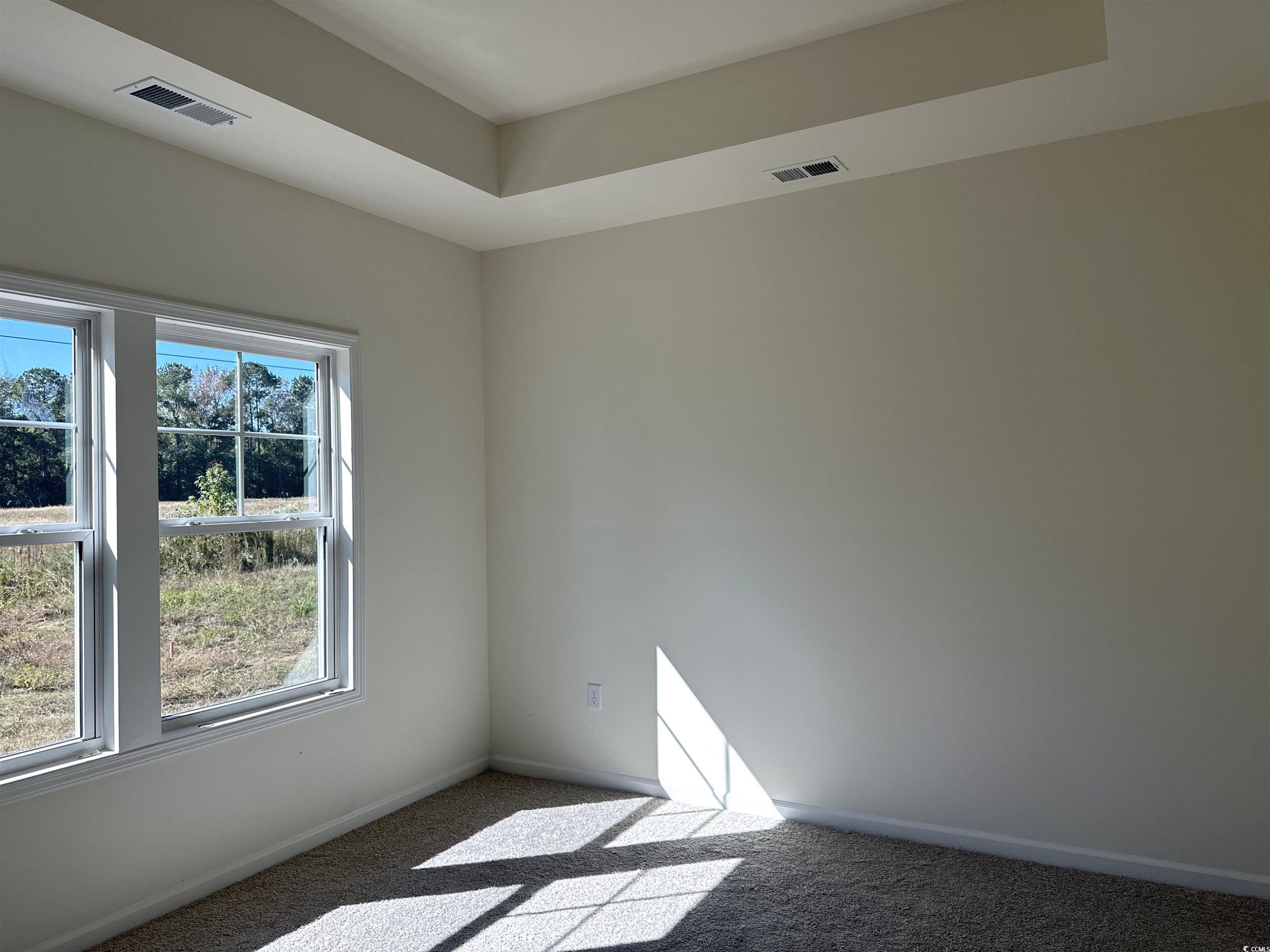 892 Birch Gdn Drive Longs, SC 29568 - Photo 7 of 15 Carpeted spare room with a tray ceiling
