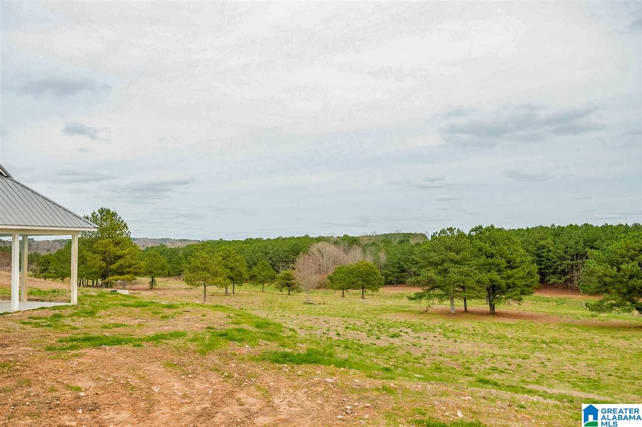 1085 Jones Chapel Loop Springville, AL 35146 - Photo 21 of 32