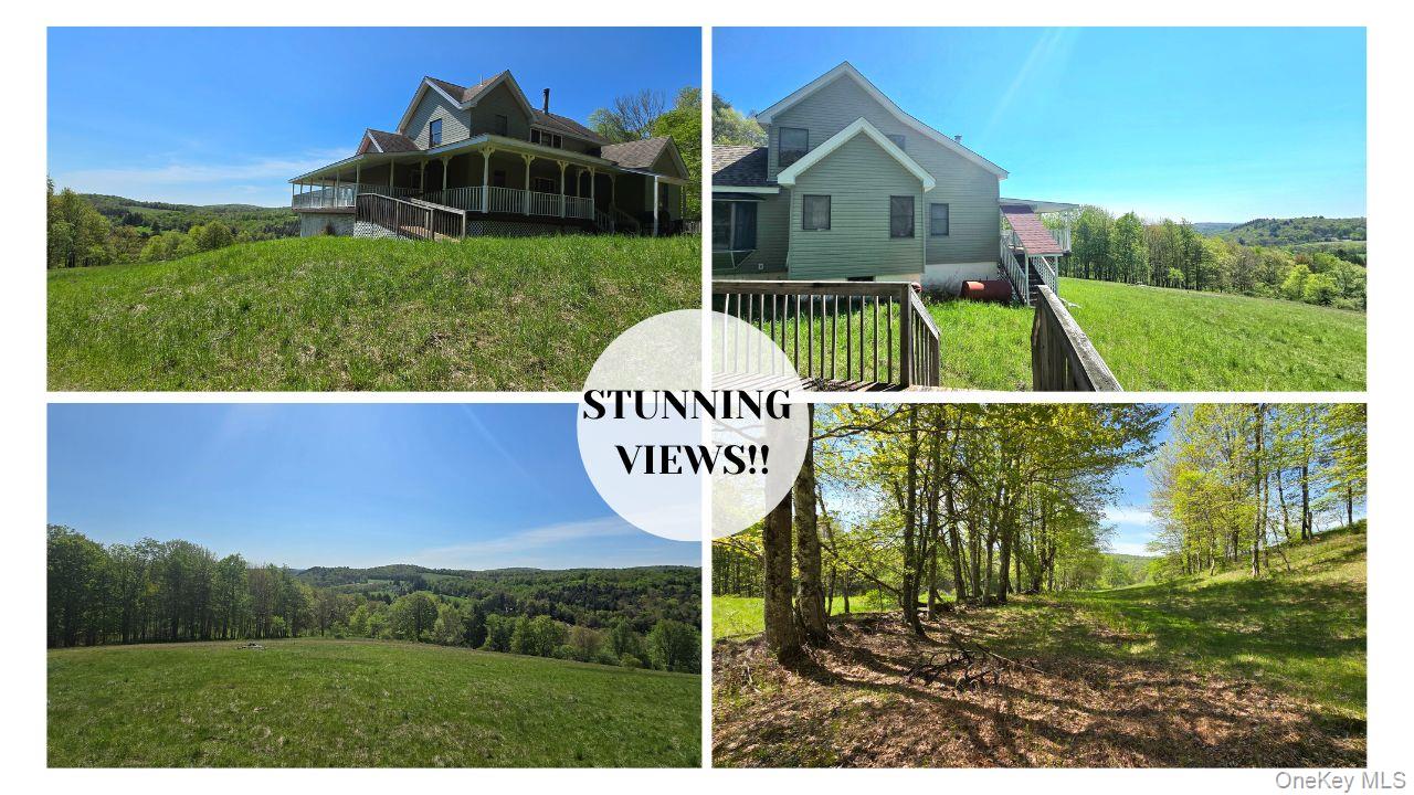 26 Beckys Hill Road Loch Sheldrake, NY 12759 - Photo 1 of 48