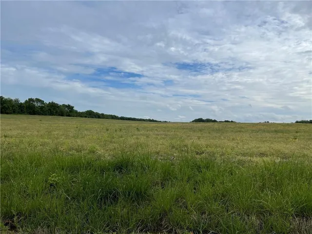 $90,000 | Lot I 110th Road, Houstonia, MO 65333