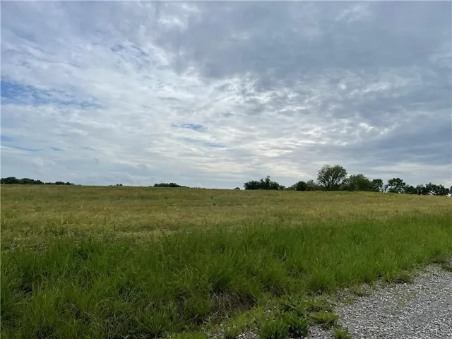 $90,000 | Lot I 110th Road, Houstonia, MO 65333