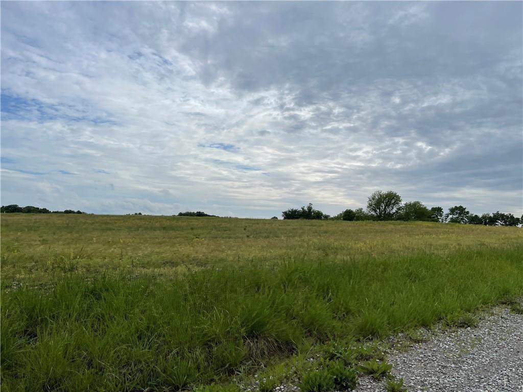 Lot I 110th Road Houstonia, MO 65333 - Photo 3 of 3