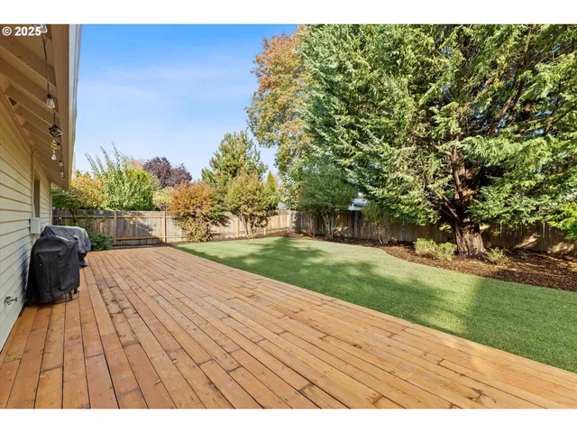a view of backyard and outdoor space