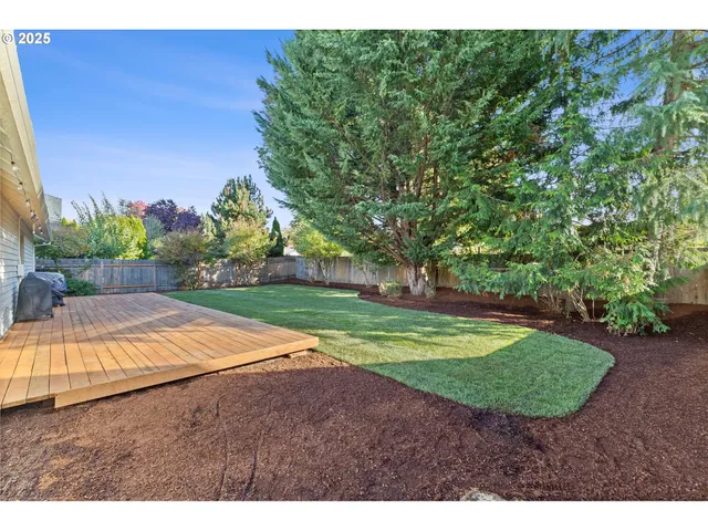 a view of a backyard