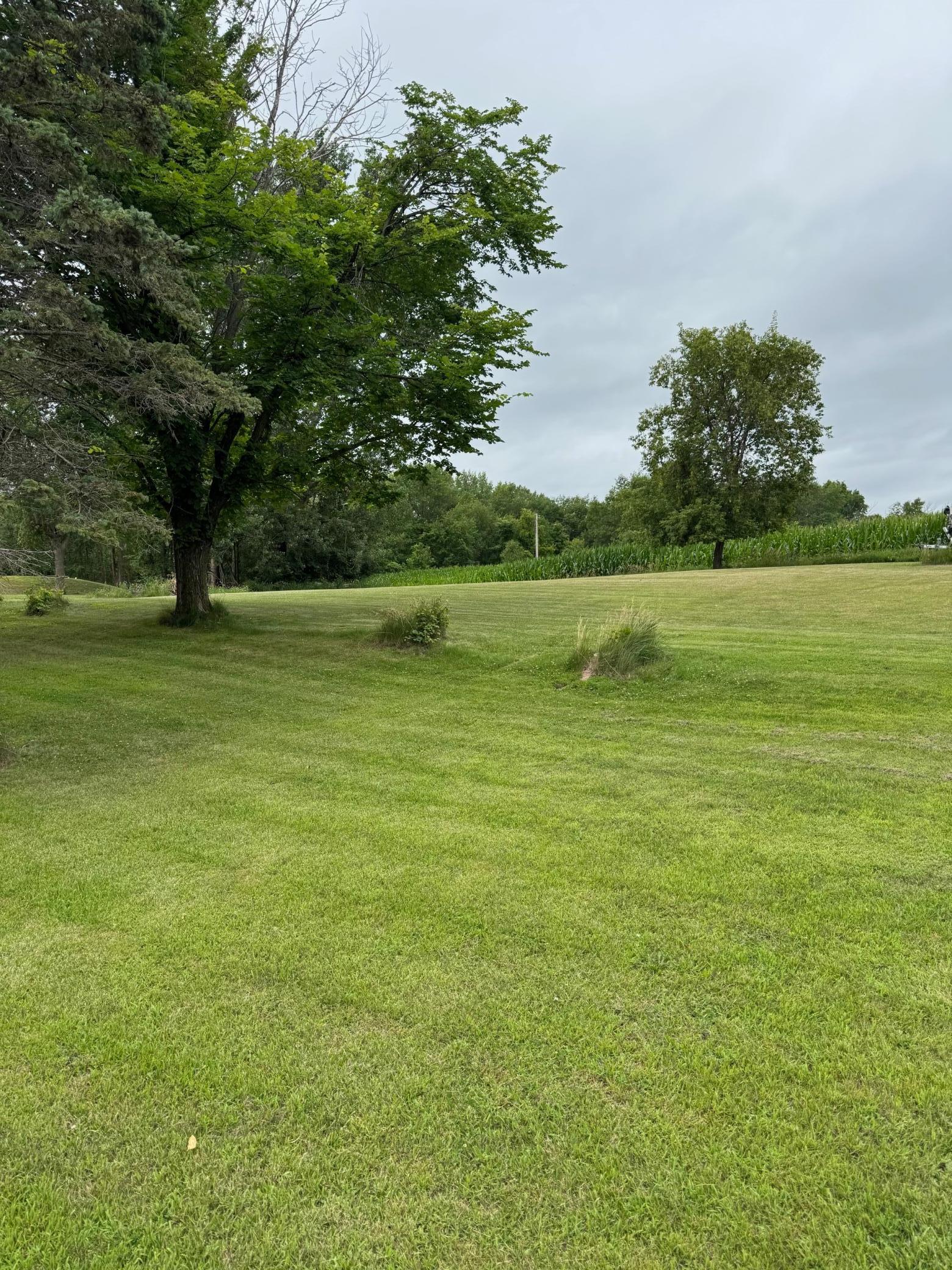 32348 Trumpeter Loop Dent, MN 56528 - Photo 18 of 45