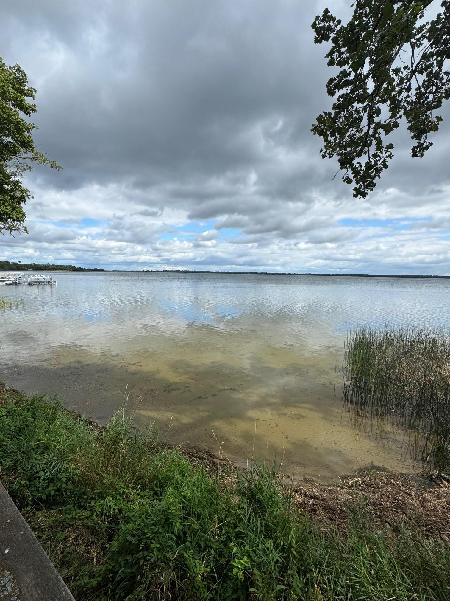 32348 Trumpeter Loop Dent, MN 56528 - Photo 19 of 45