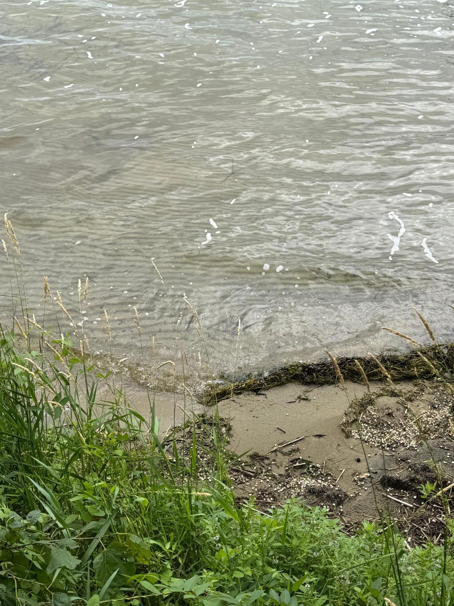 32348 Trumpeter Loop Dent, MN 56528 - Photo 23 of 45