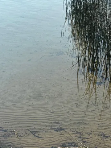 $549,900 | 32348 Trumpeter Loop, Dent, MN 56528