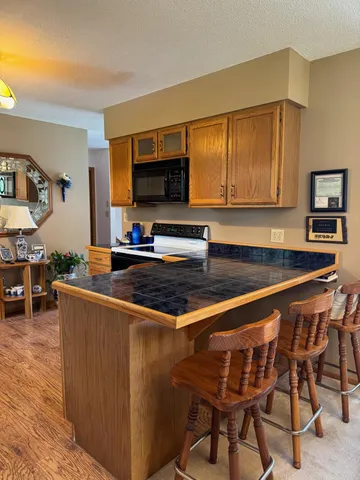 $549,900 | 32348 Trumpeter Loop, Dent, MN 56528