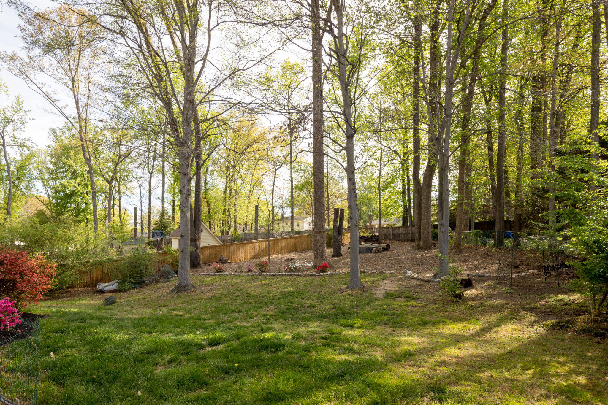 6809 Huntsman Boulevard Springfield, VA 22152 - Photo 2 of 8 Back Exterior