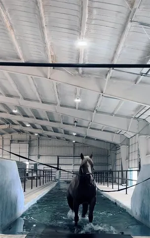 a room with gym equipment