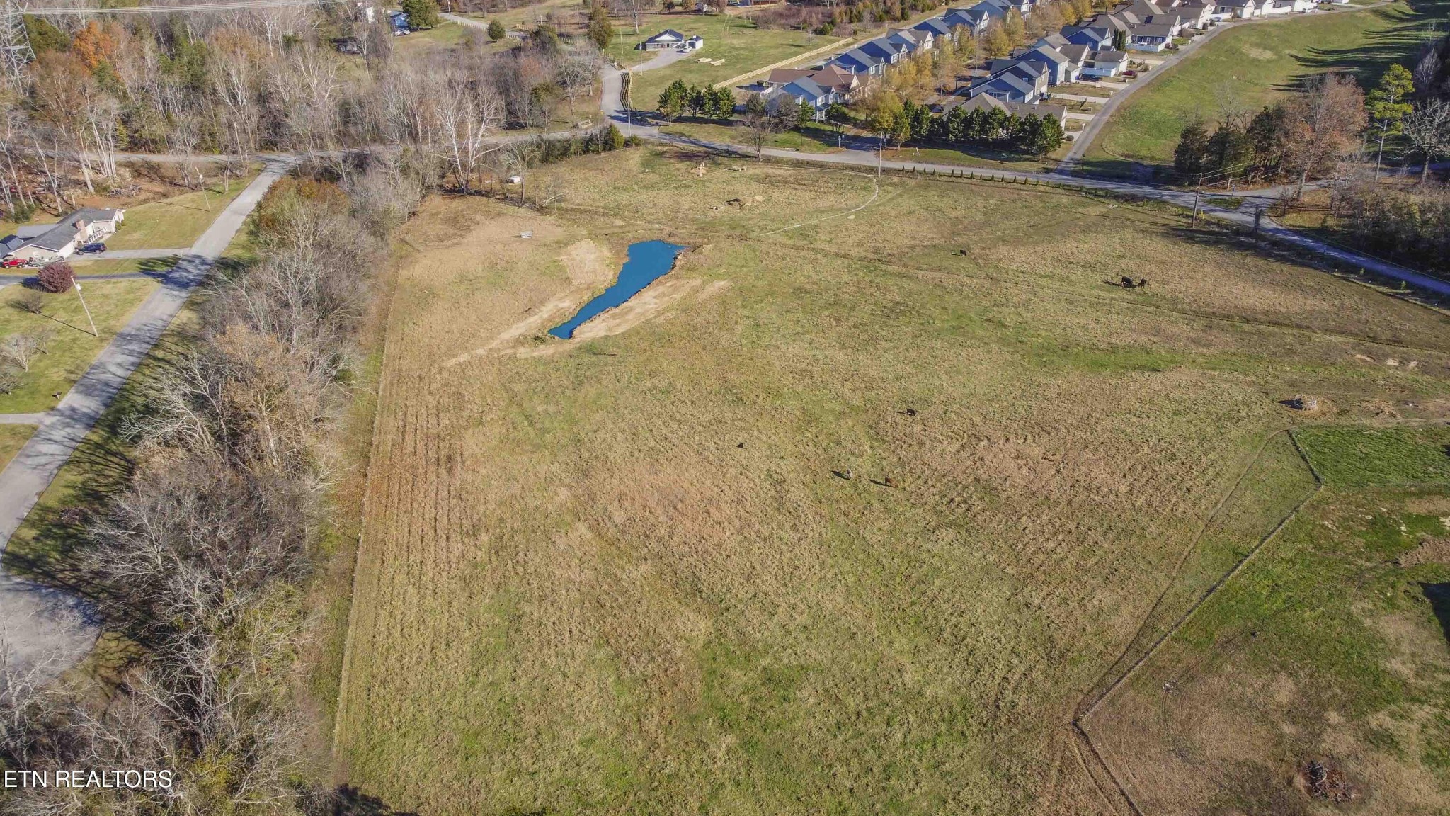 181 Hamilton Road Kingston, TN 37763 - Photo 17 of 59 Gallery Image 17
