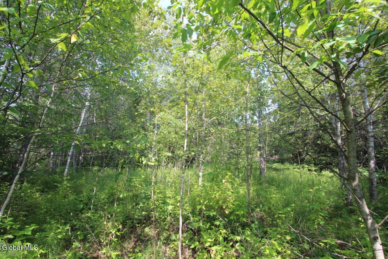 173 Traver Road Wilton, NY 12831 - Photo 1 of 1 treed-lot