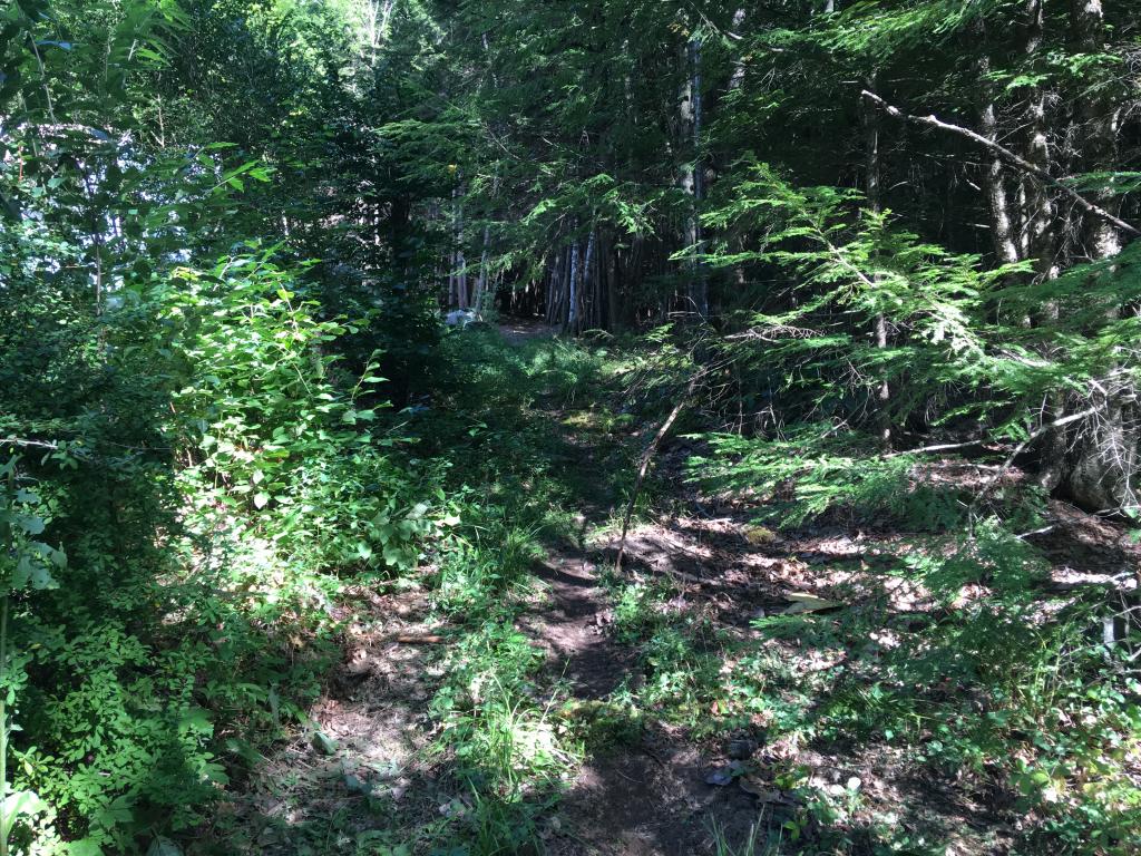 55 Gunn Road Keene, NH 03431 - Photo 22 of 23