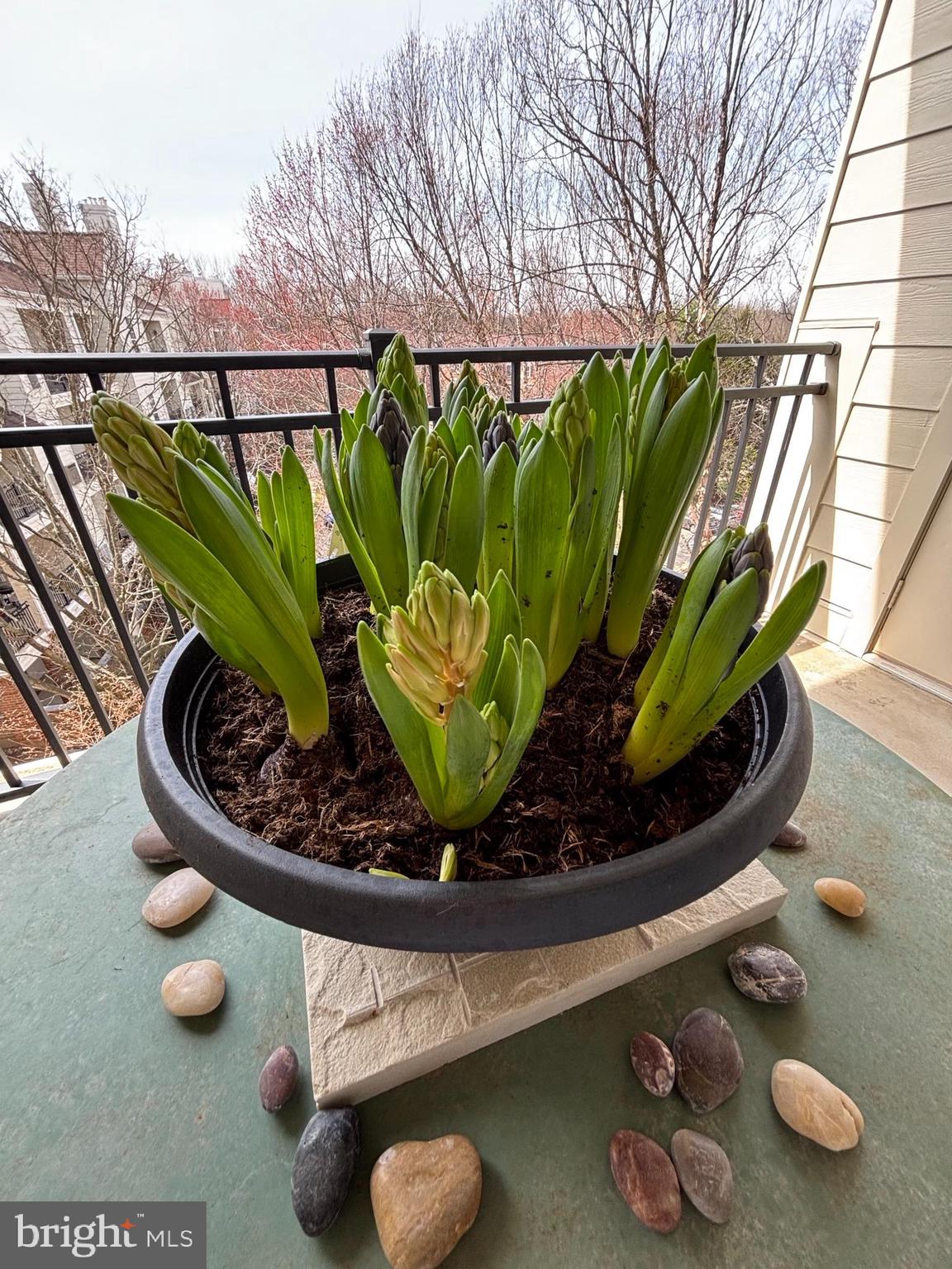 1334 Garden Wall Circle, Unit E Reston, VA 20194 - Photo 2 of 51 Ready to Bloom.