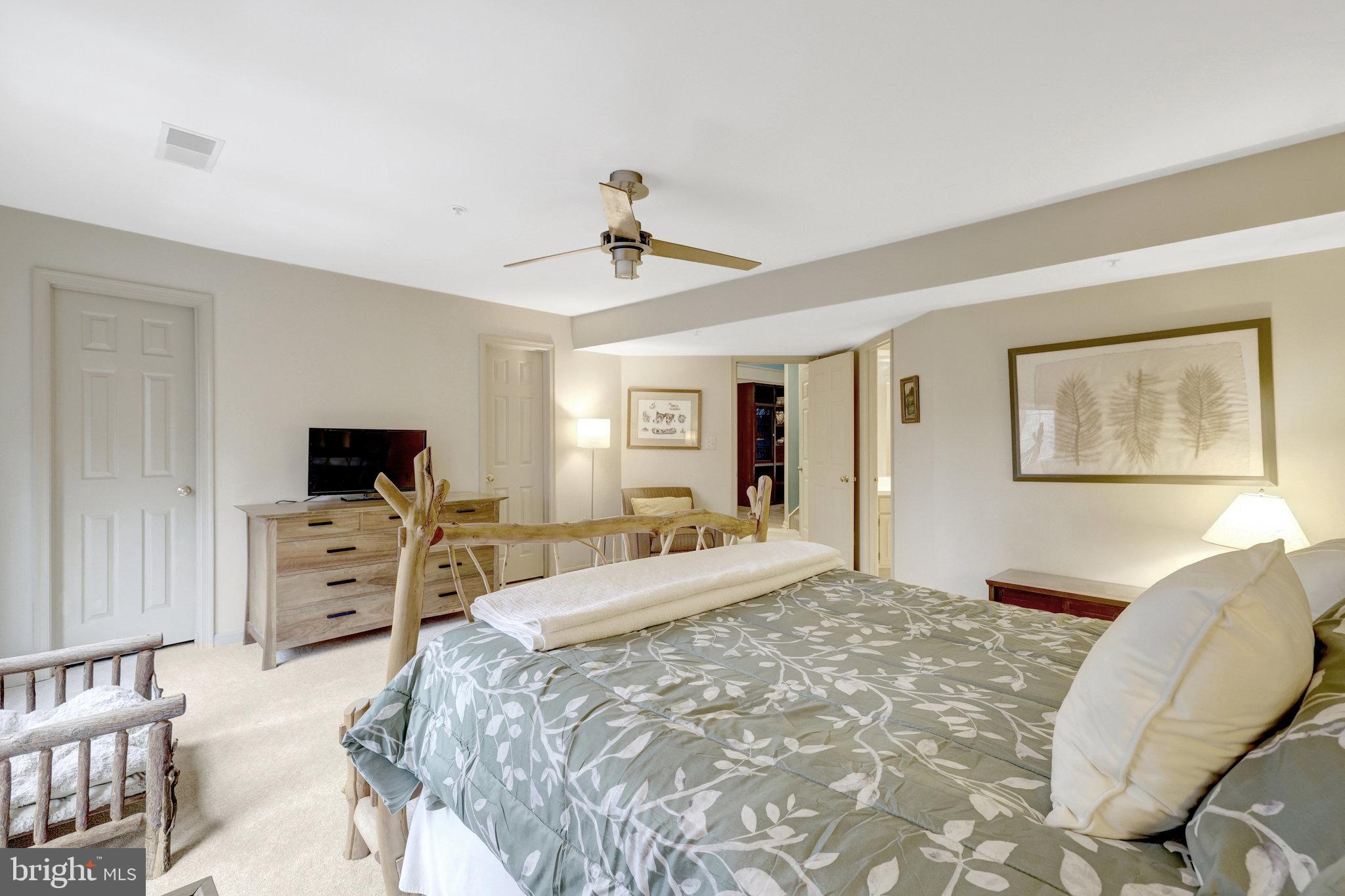 1334 Garden Wall Circle, Unit E Reston, VA 20194 - Photo 24 of 51 Large Primary Bedroom with walk=in closet.