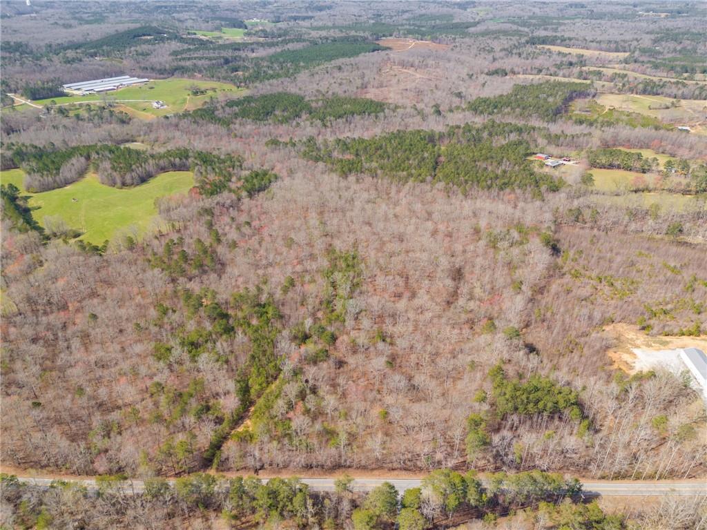 100 Buchanan Ga 30113 Buchanan, GA 30113 - Photo 8 of 9