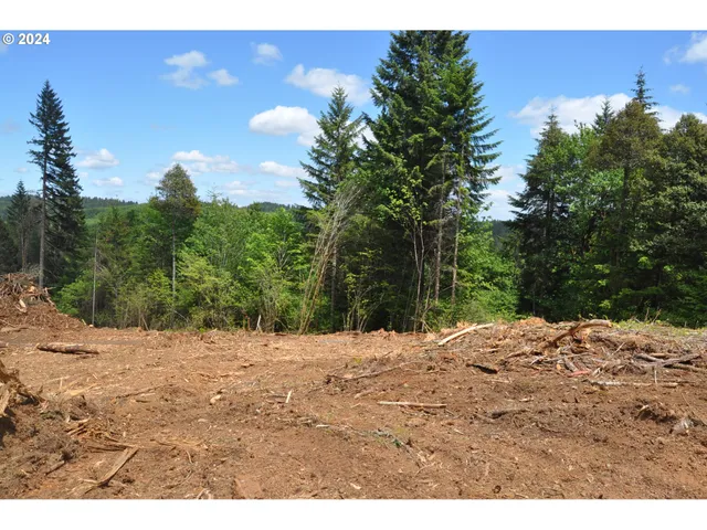 a outdoor space view