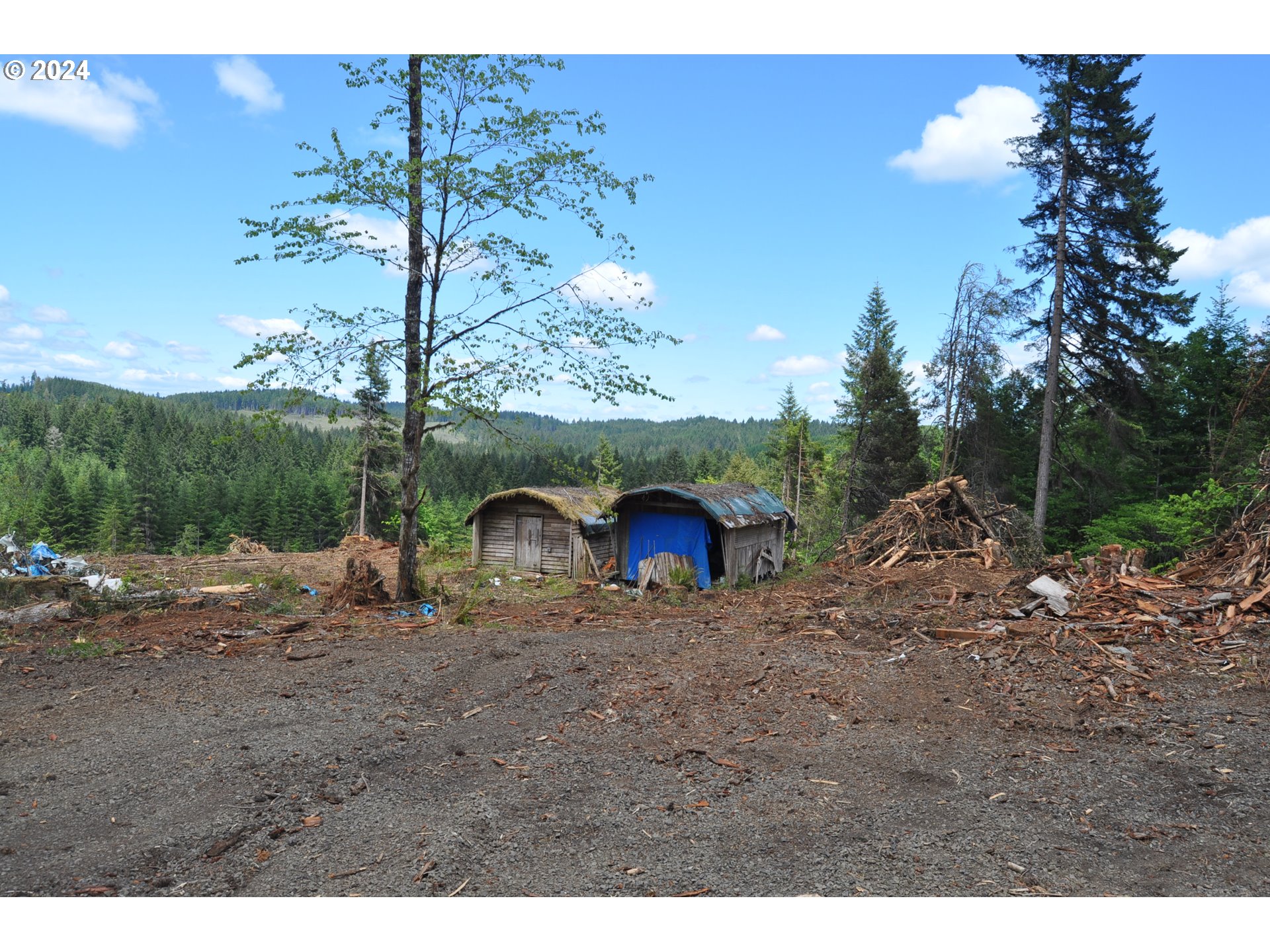 89975 Sheffler Road Elmira, OR 97437 - Photo 3 of 9