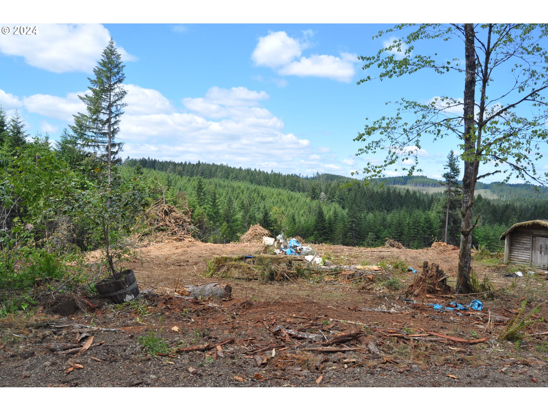 89975 Sheffler Road Elmira, OR 97437 - Photo 4 of 9