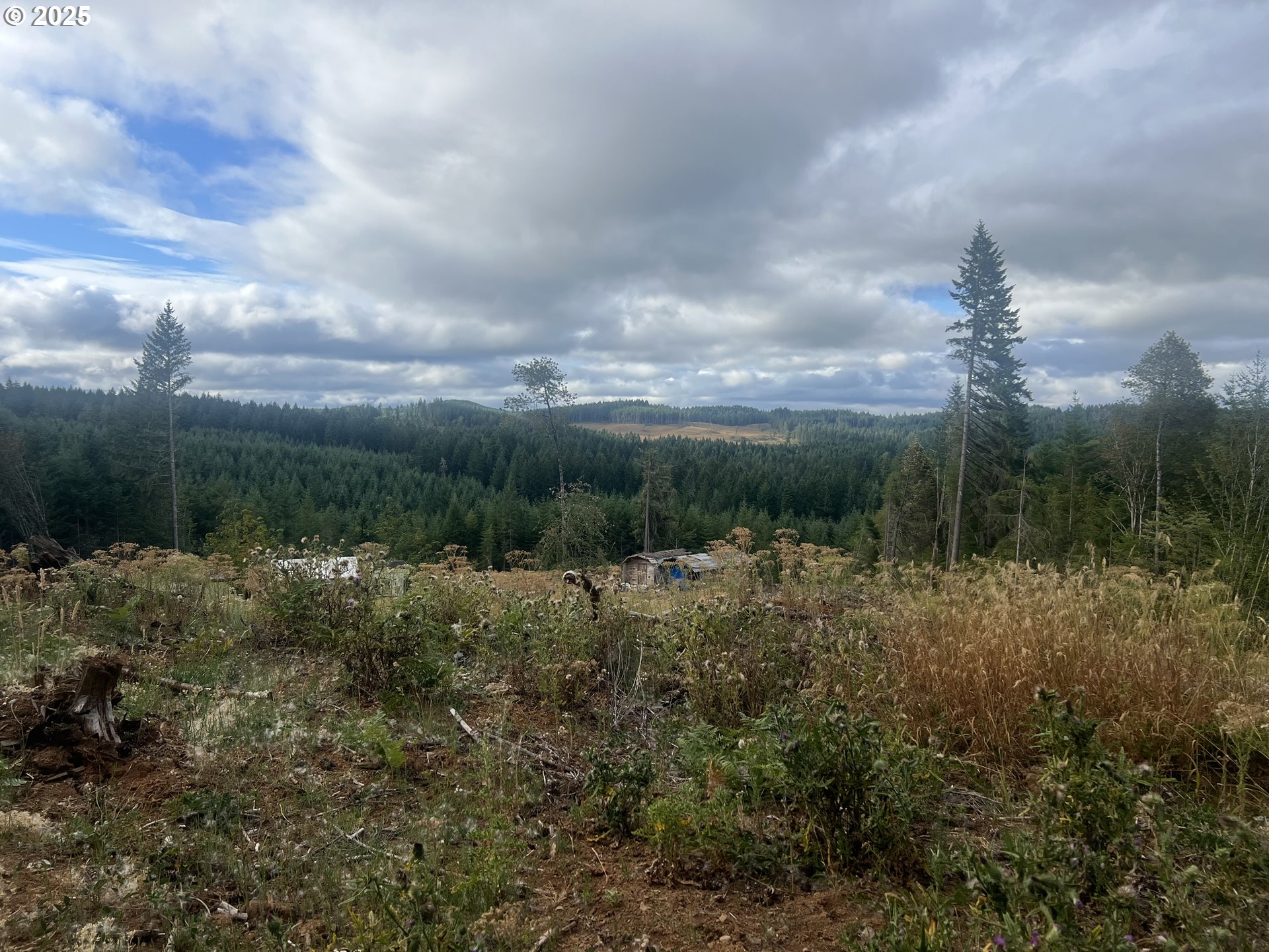 89975 Sheffler Road Elmira, OR 97437 - Photo 8 of 9
