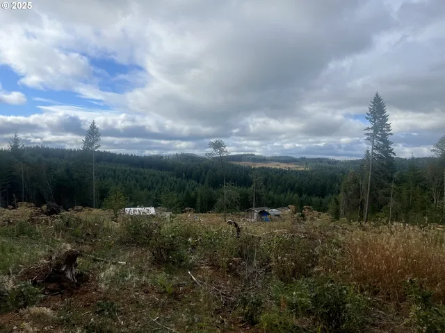 a view of outdoor space and green space
