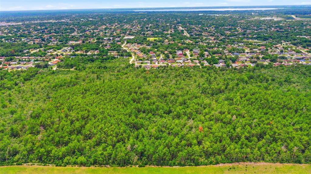 Wolverine (paper) Avenue Deltona, FL 32725 - Photo 21 of 24