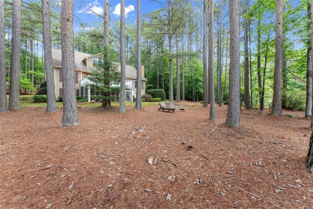 404 Golden Delicious Road Clarkesville, GA 30523 - Photo 66 of 100