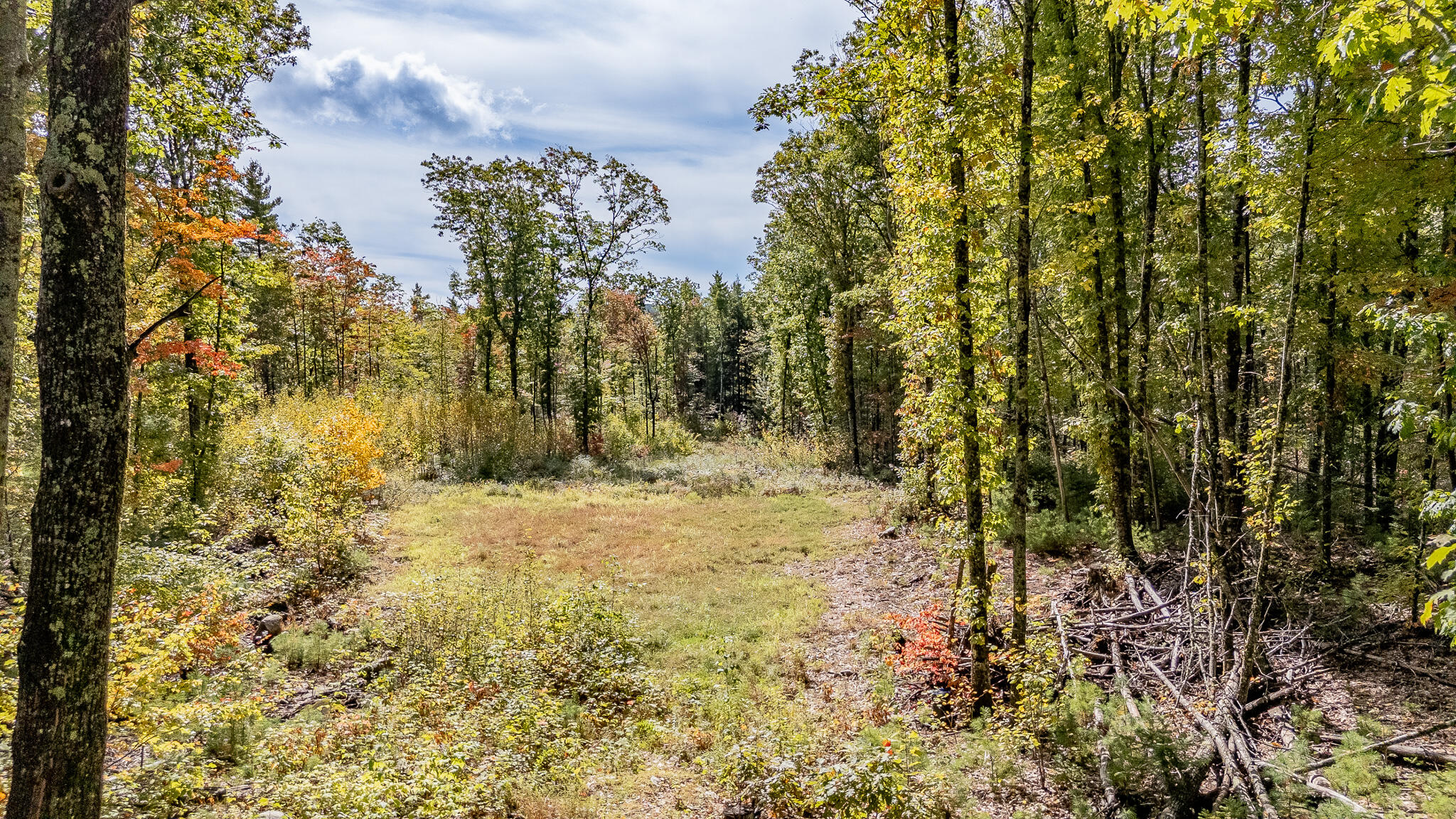 165 Red School House Road Newburgh, ME 04444 - Photo 42 of 61 DJI_20250926111752_0507_D