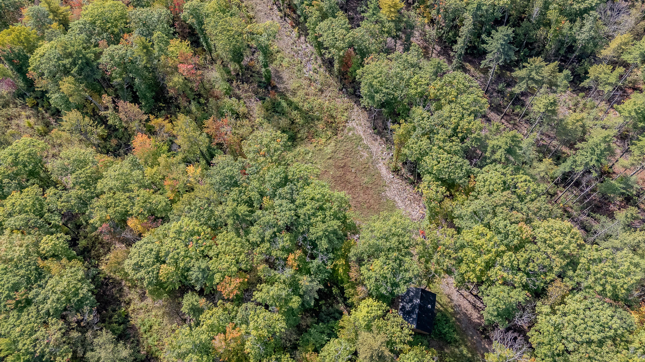 165 Red School House Road Newburgh, ME 04444 - Photo 53 of 61 DJI_20250926112201_0525_D