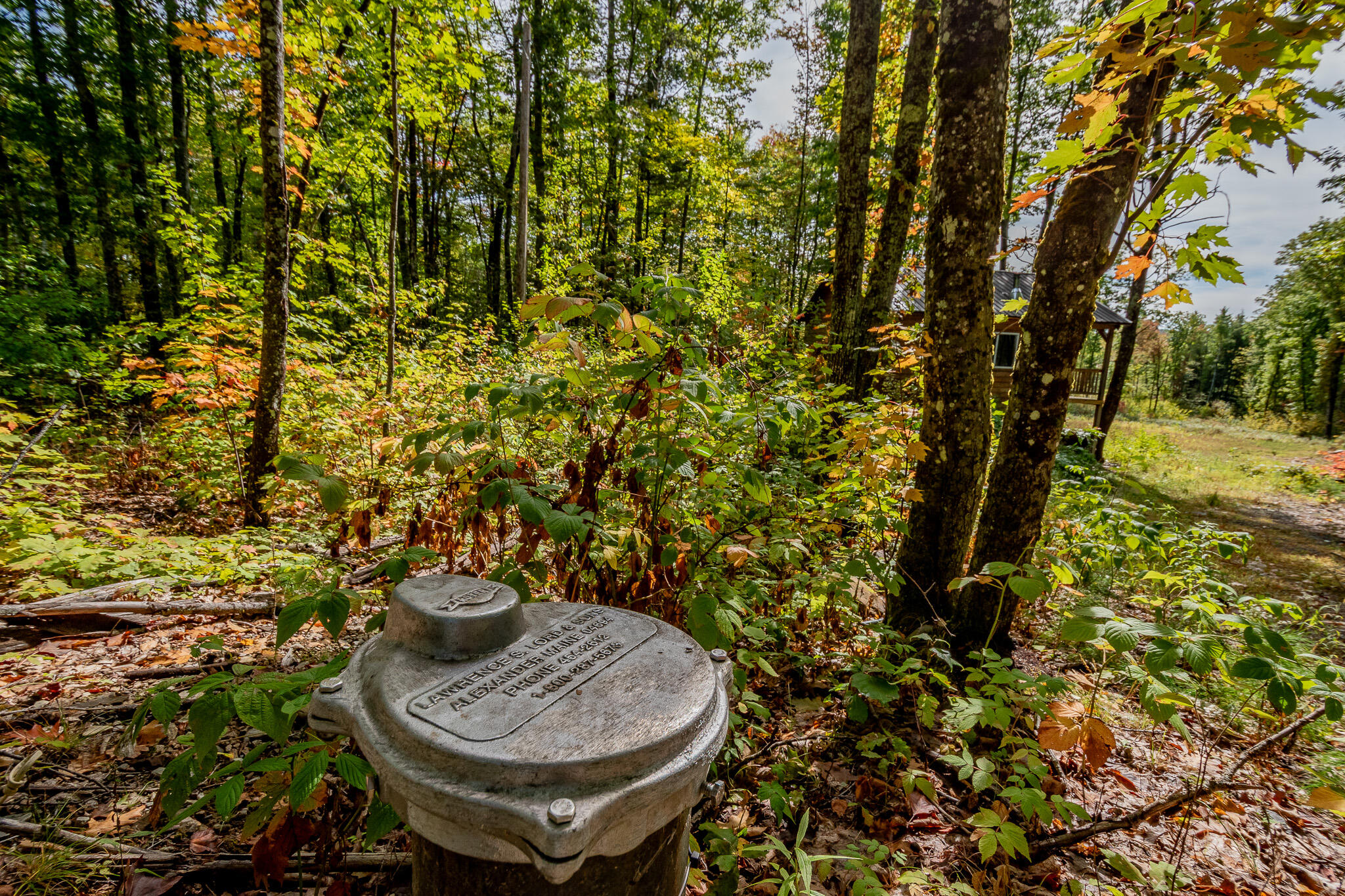 165 Red School House Road Newburgh, ME 04444 - Photo 56 of 61 DSC_0141