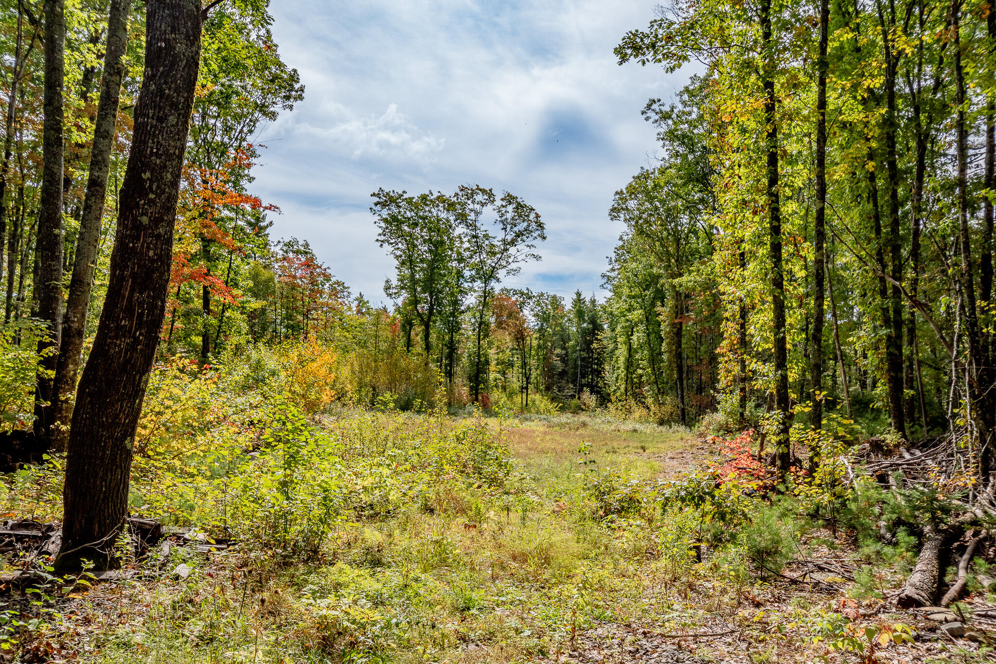 165 Red School House Road Newburgh, ME 04444 - Photo 59 of 61 DSC_0145