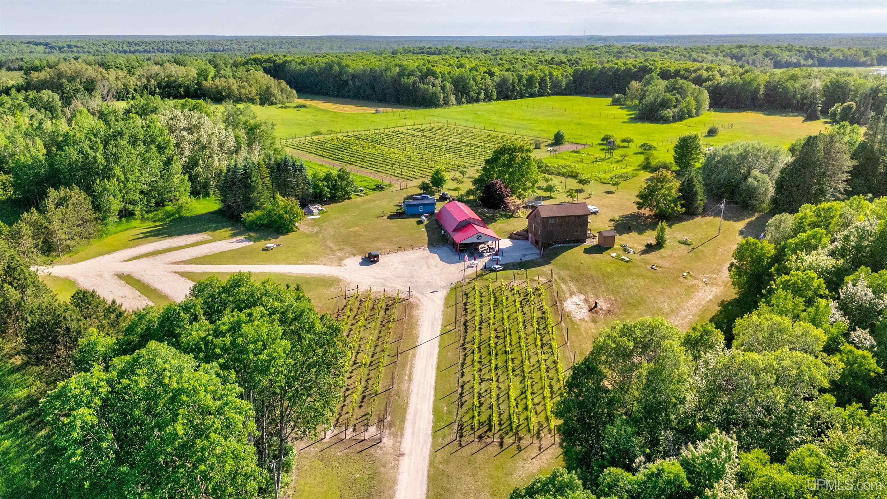6917 Burns Road Germfask, MI 49836 - Photo 9 of 87