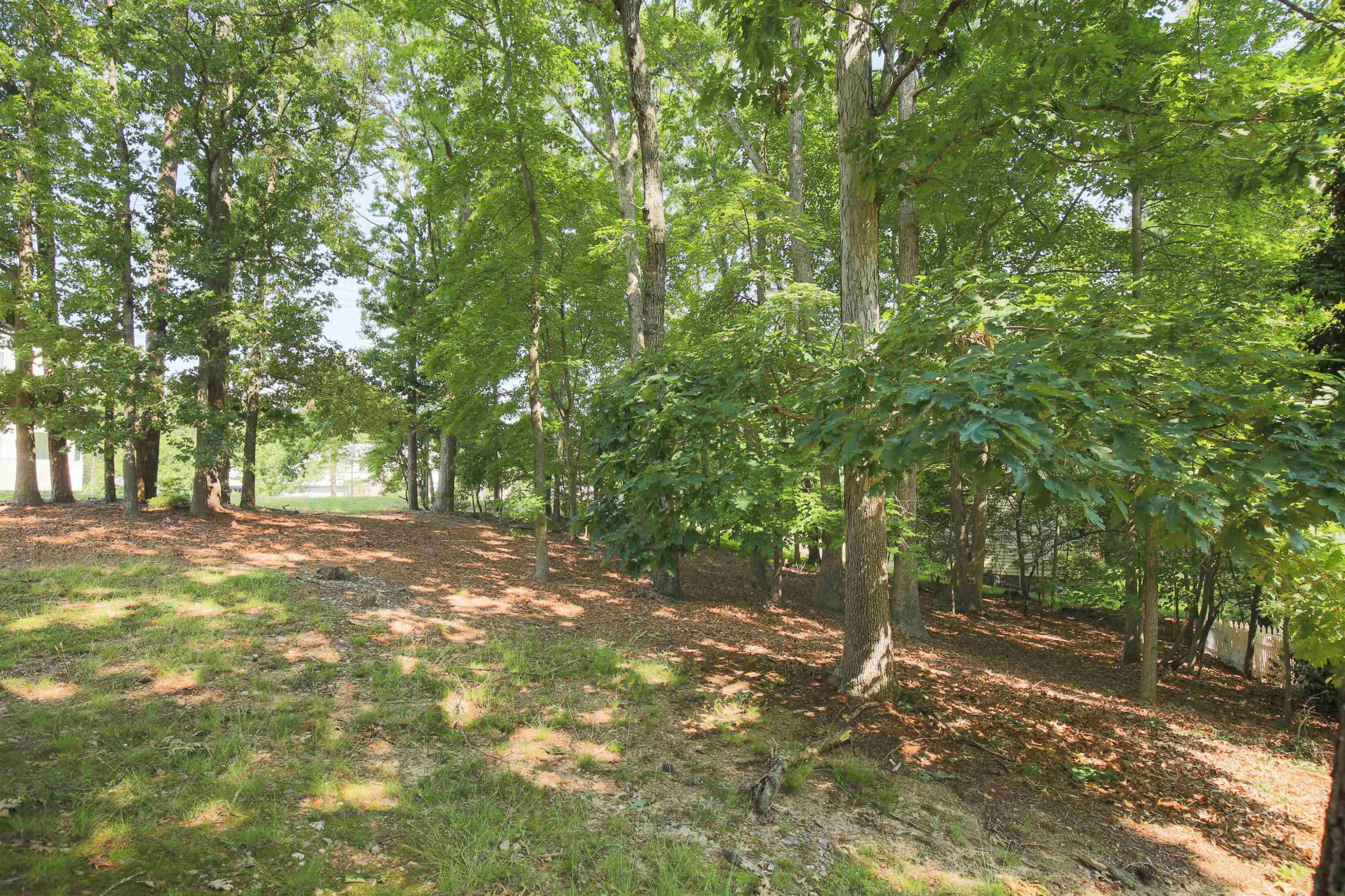 9301 Springdale Drive Raleigh, NC 27613 - Photo 23 of 27 Photo 23