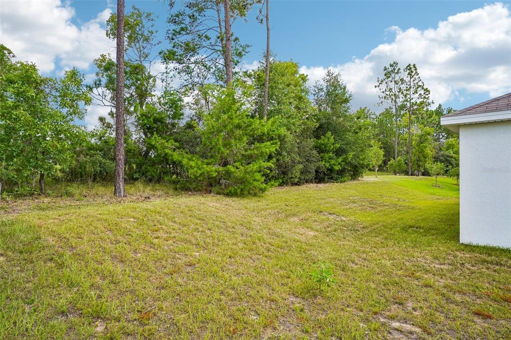 134 Hickory Course Trail Ocala, FL 34472 - Photo 38 of 41