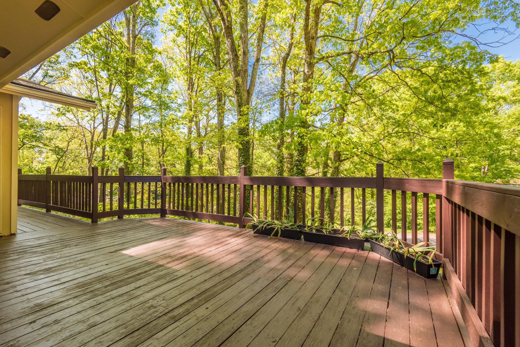 1104 Delray Road Knoxville, TN 37923 - Photo 5 of 32 Gallery Image 5