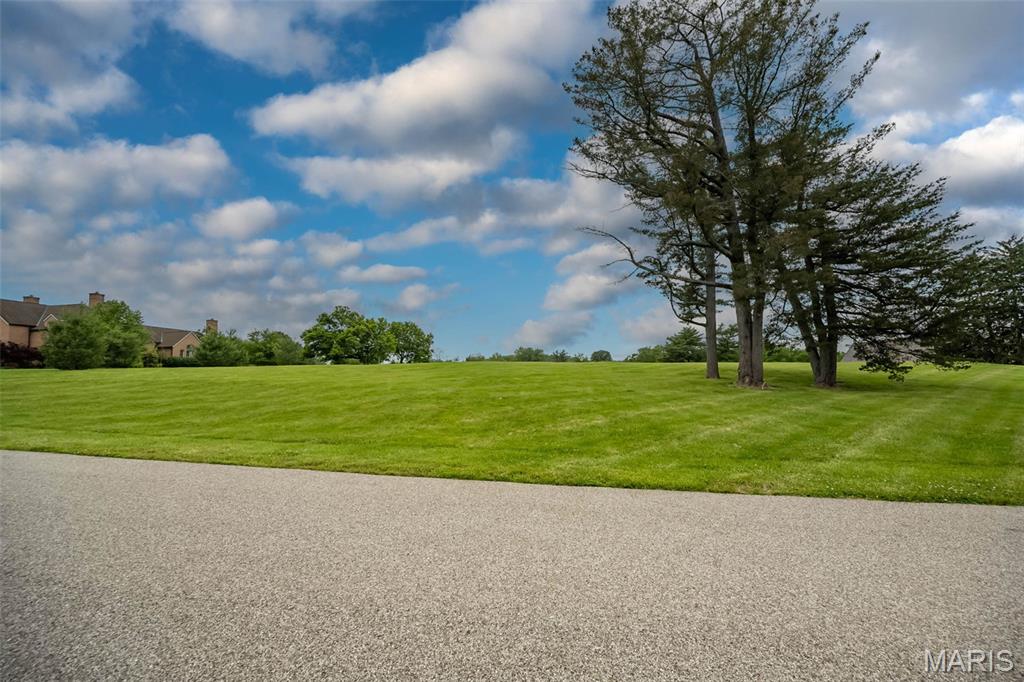 9 Bridle Ridge Lane St. Louis, MO 63131 - Photo 3 of 9