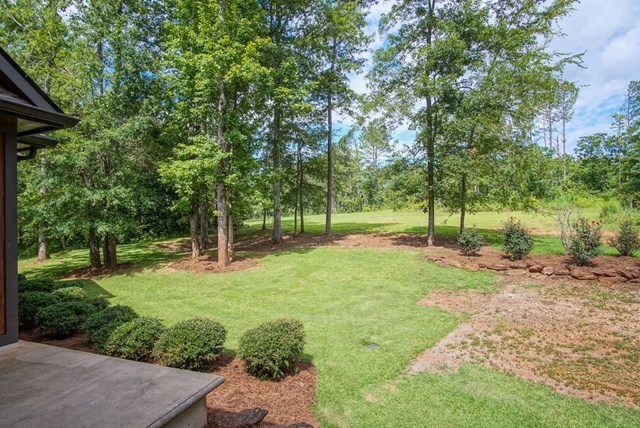 1139 Hill Road Forsyth, GA 31029 - Photo 22 of 23 a view of a backyard with large trees