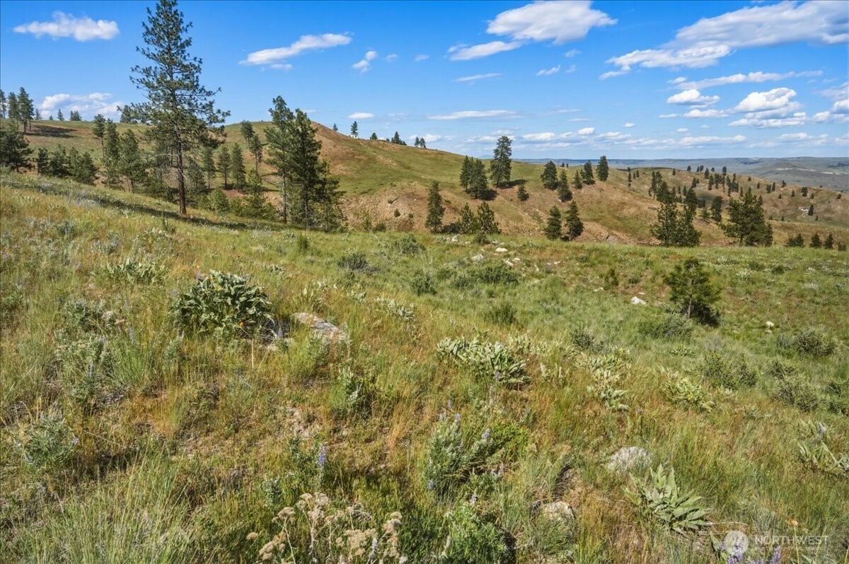 6575 Union Valley Road Chelan, WA 98816 - Photo 4 of 32