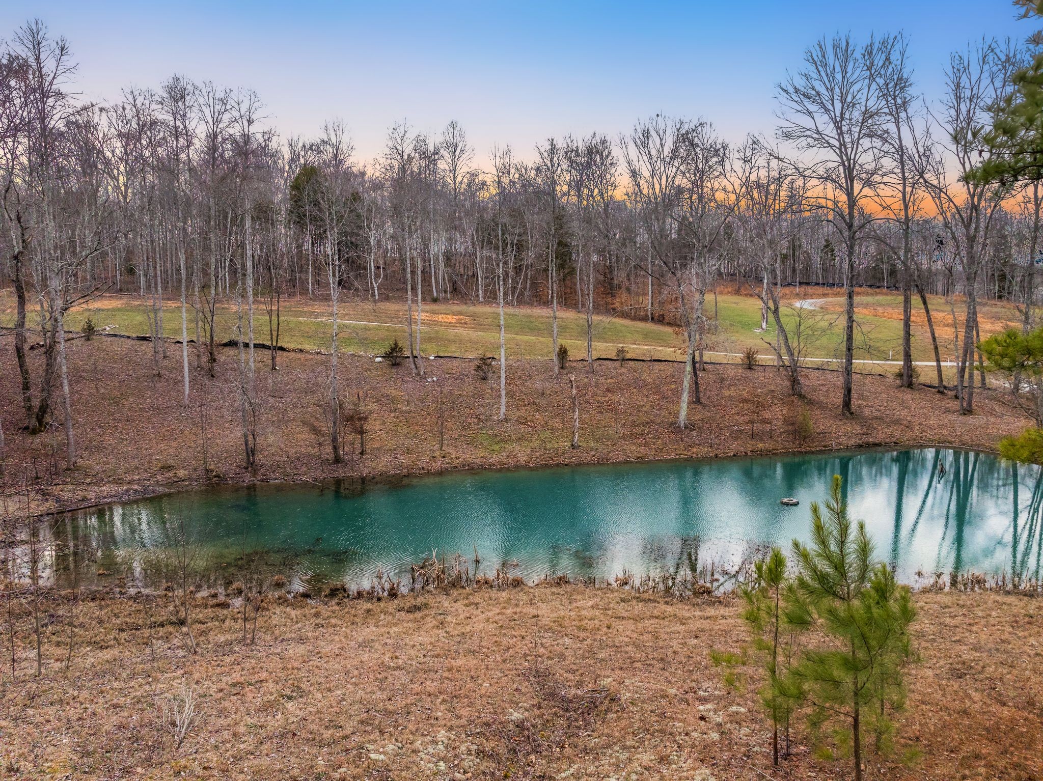 6009 Garrison Road Franklin, TN 37064 - Photo 6 of 12