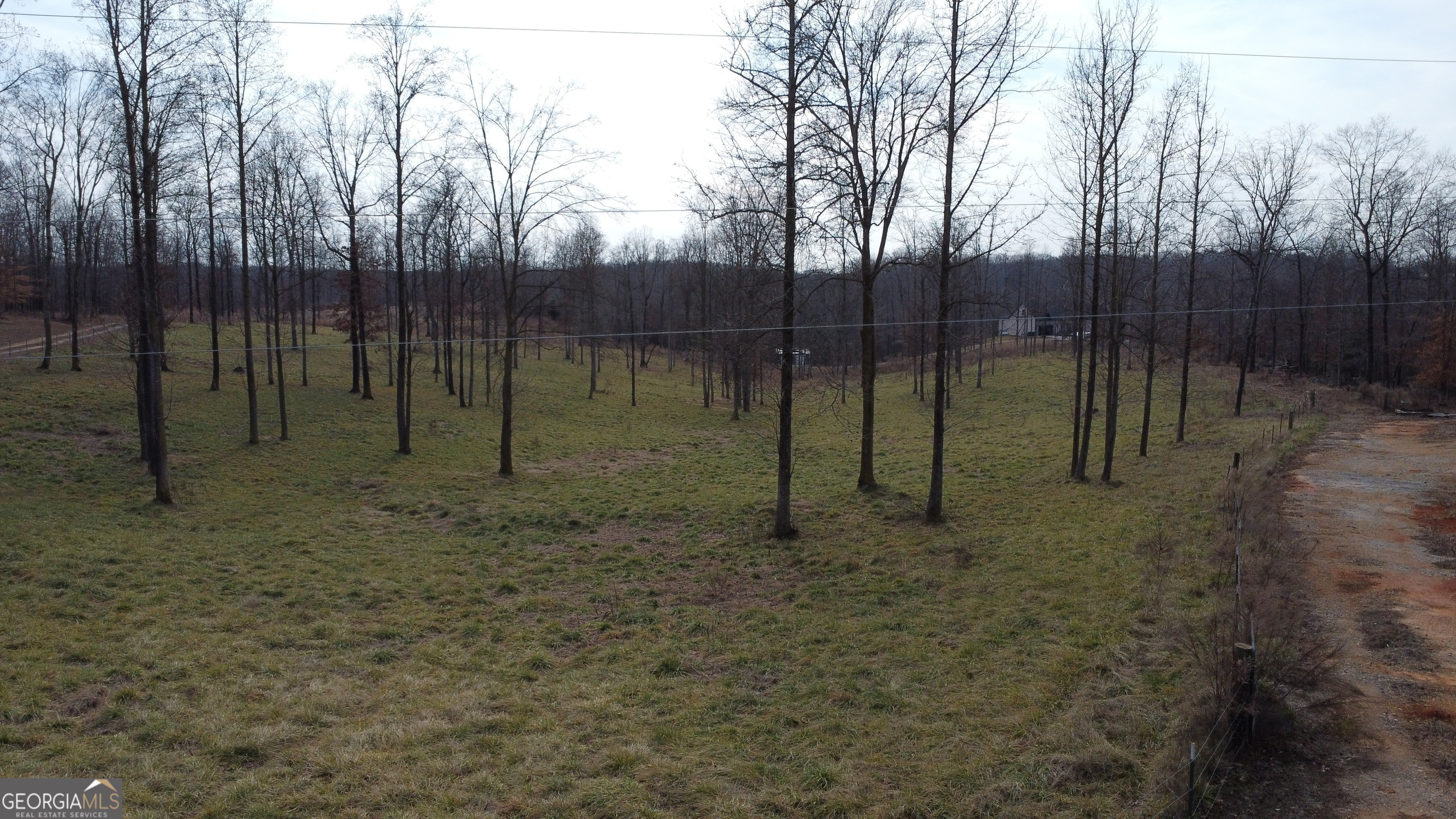 1.73-acres Tr3 Garrison Road Cornelia, GA 30531 - Photo 3 of 5 a backyard of a house with lots of trees