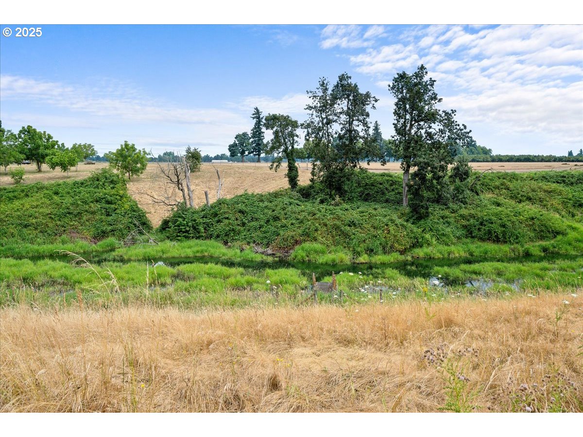 11623 Broadacres Road Northeast Hubbard, OR 97032 - Photo 39 of 48 a view of outdoor space and yard