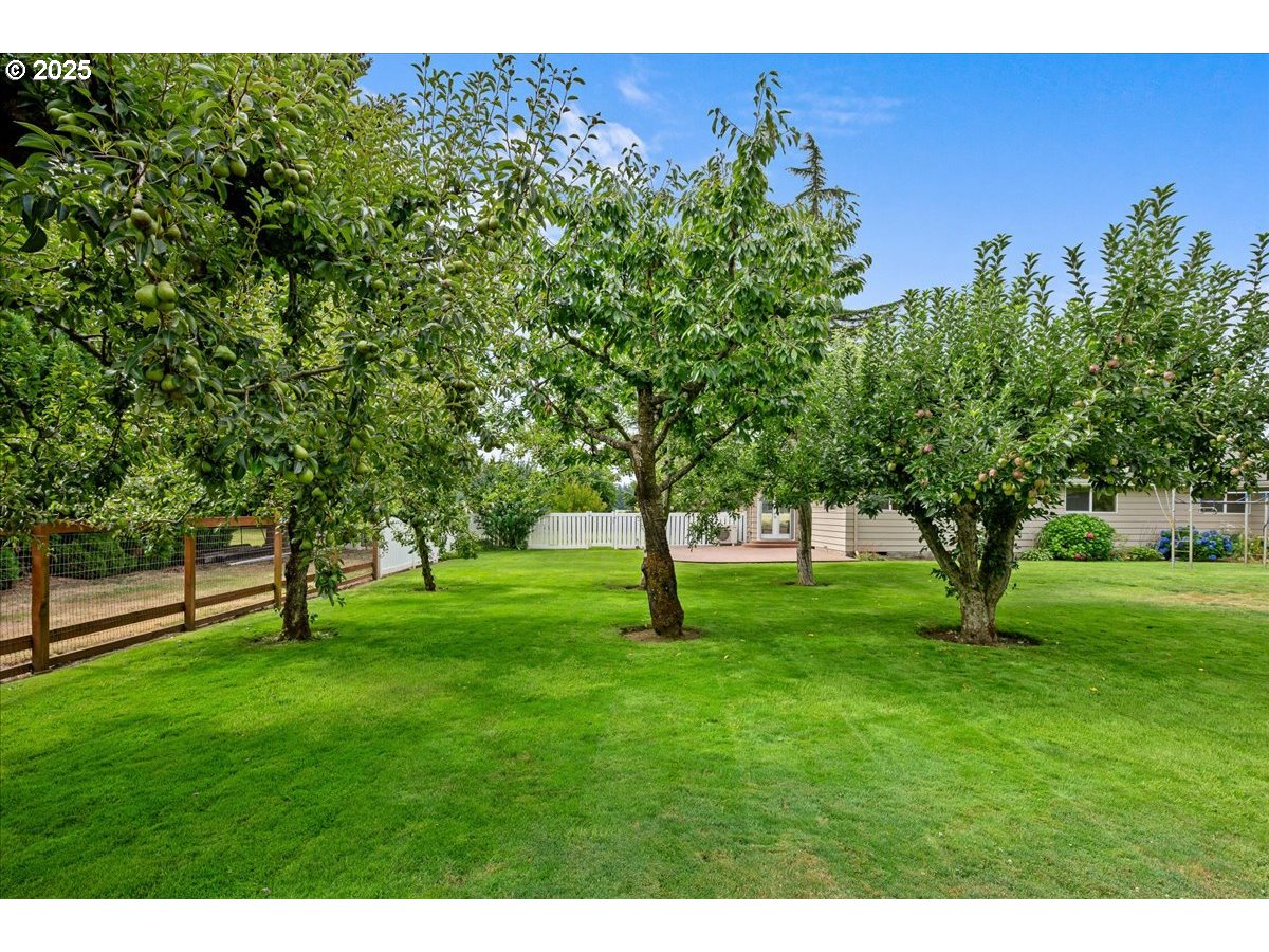 11623 Broadacres Road Northeast Hubbard, OR 97032 - Photo 47 of 48 a view of yard with grass and trees