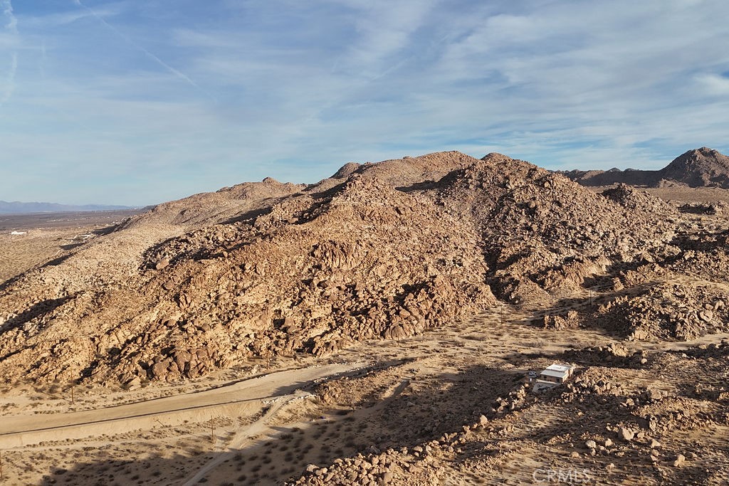 6981 Alturas Drive Joshua Tree, CA 92252 - Photo 11 of 27 a view of a very nice looking yard