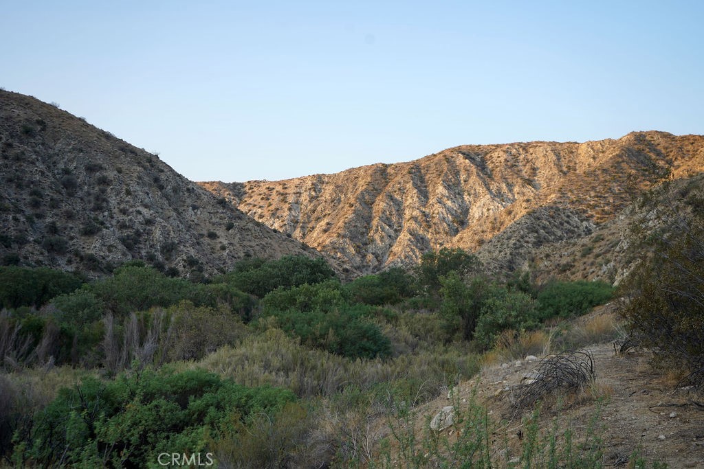 6981 Alturas Drive Joshua Tree, CA 92252 - Photo 26 of 27 a view of a dry yard with mountains in the background