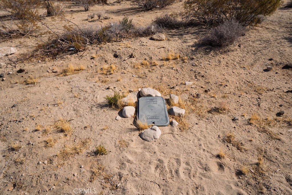 6981 Alturas Drive Joshua Tree, CA 92252 - Photo 6 of 27