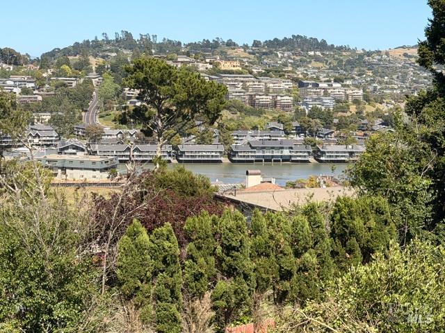 203 Reed Boulevard Mill Valley, CA 94941 - Photo 9 of 10