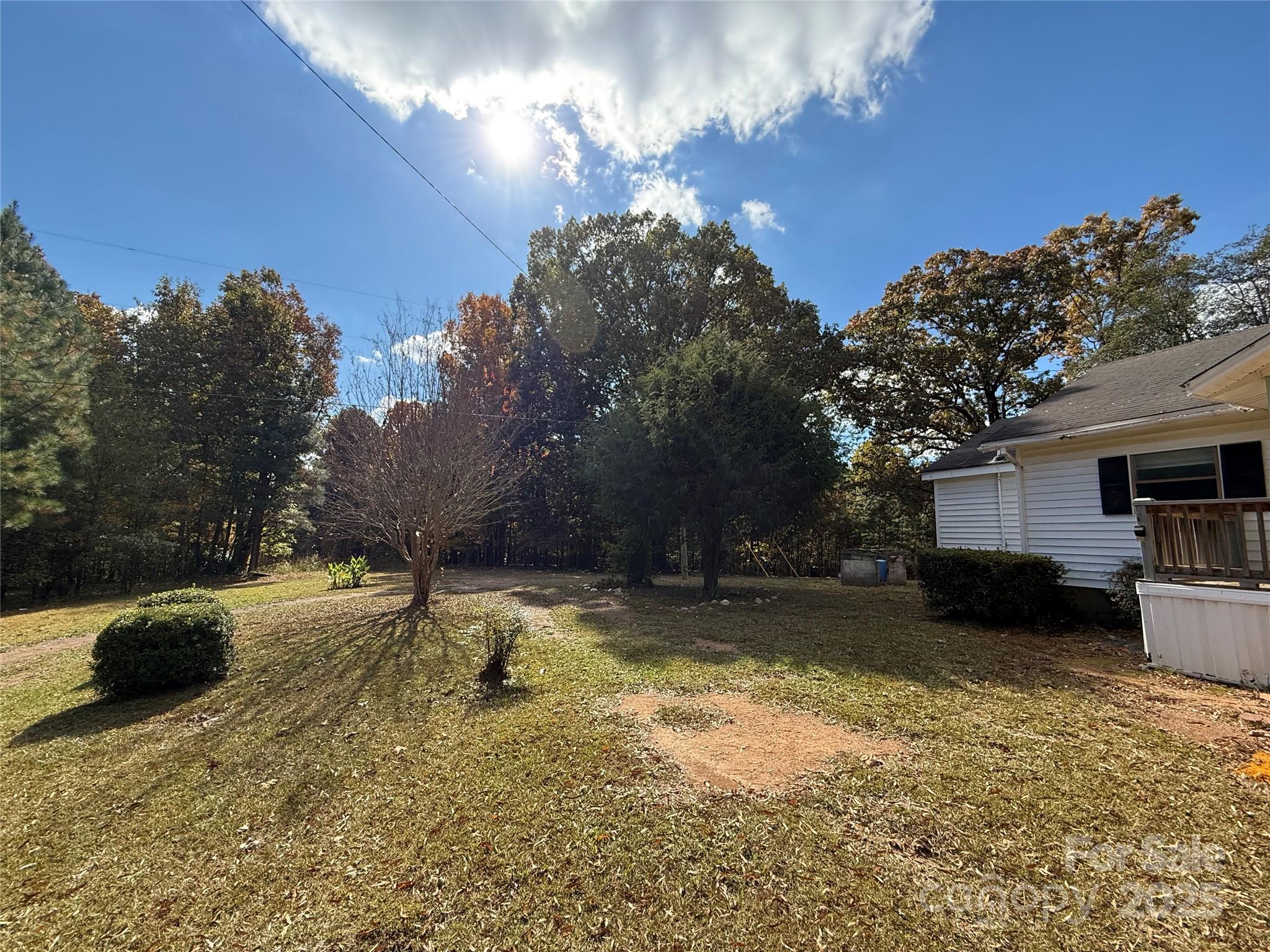 175 Rush Loop Road Mount Gilead, NC 27306 - Photo 7 of 10 a view of backyard of the house