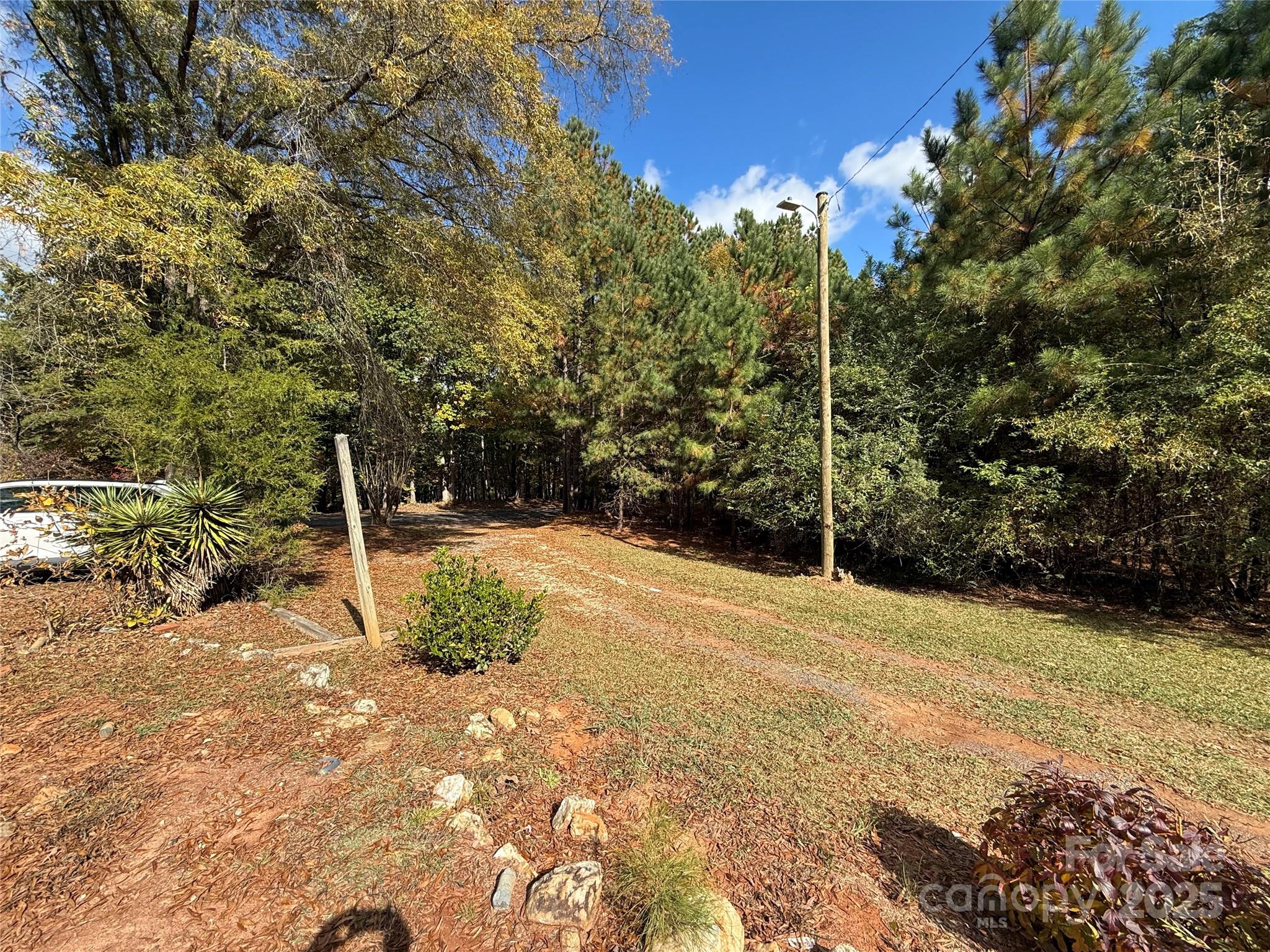 175 Rush Loop Road Mount Gilead, NC 27306 - Photo 8 of 10