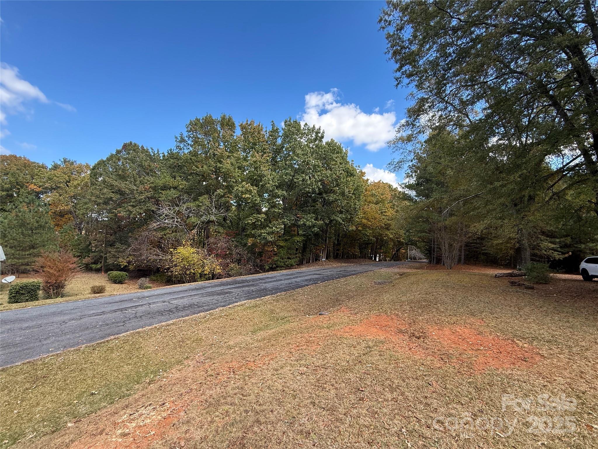 175 Rush Loop Road Mount Gilead, NC 27306 - Photo 10 of 10 a view of a yard with a tree